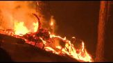 Devastanti incendi in Corea del Sud, almeno 19 morti