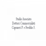 Studio Associato Dottori Commercialisti Caponeri P. e Freddio S.