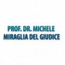 Miraglia del Giudice Prof. Dr. Michele