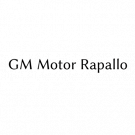 Gm Motor