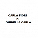 Carla Fiori