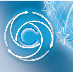 Carioni Spedizioni Internazionali logo