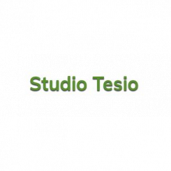 Studio Tesio logo