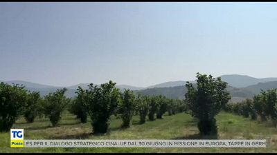 Borghi e futuro, a Montecchio presidio Polis di Poste Italiane