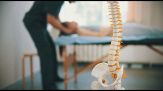 Arriva un corso teorico e pratico per formare i Bone specialists