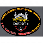 Car Service Luca Auto Nuove Usate Vendita Assistenza