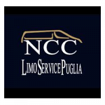 Ncc Brindisi Taxi  Limo Service