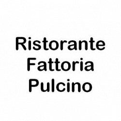 Ristorante Fattoria Pulcino logo