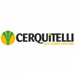 Cerquitelli 1980 logo