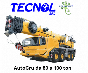 Tecnol Noleggio AutoGru da 80 a 100 ton
