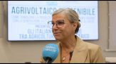 Rinnovabili, Colombera (Legance): lavorare per i progetti