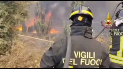 Oltre 100 interventi in 24 ore per incendi a vegetazione nel catanese