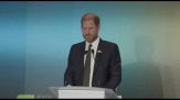 Il principe Harry da Kiev chiede a Putin di porre fine alla guerra