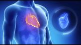 Malattie cardiovascolari: indicatori centrali, ma da ottimizzare