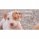 Pensione per Animali Luro'S Family Dog Camp