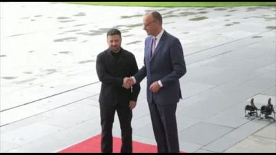 Zelensky da Merz, tra sostegno a Kiev e sforzi per cessate il fuoco