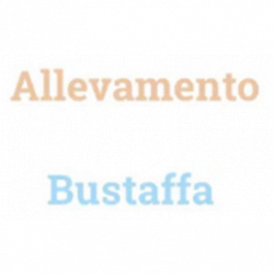Allevamento Bustaffa logo