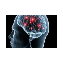 Bianchi Dott.ssa Lorena logo