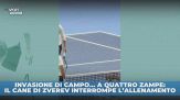 Ospite speciale per Zverev