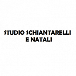 Studio Schiantarelli e Natali logo