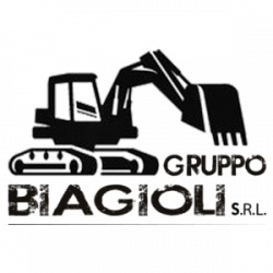 Gruppo Biagioli logo