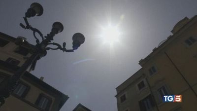 Fuga verso le vacanze. Non li abbandoniamo!
