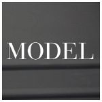 Model Store