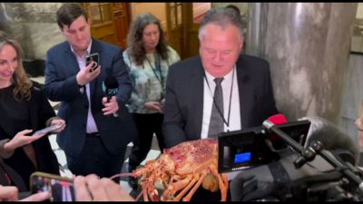 Ministro Pesca neozelandese porta aragosta viva: contro ambientalisti
