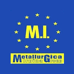Metallurgica Irpina logo
