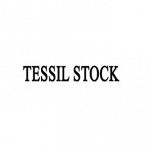 Tessil Stock