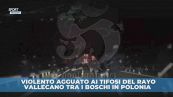 Follia tifosi nei boschi polacchi