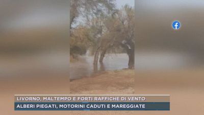 Livorno, maltempo e forti raffiche di vento