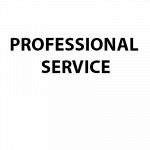 Professional Service