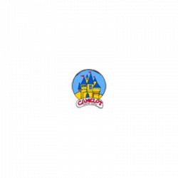 Camelot - Asilo Nido Scuola Materna e Scuola Primaria logo