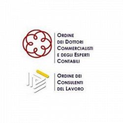 Studio Commerciale Iommi Menichelli Stp logo