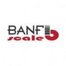 Banfi Scale