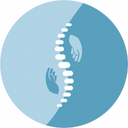 Mazzarini Prof. Luca D.O. logo