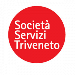 Società Servizi Triveneto - Gestione e Recupero Crediti logo