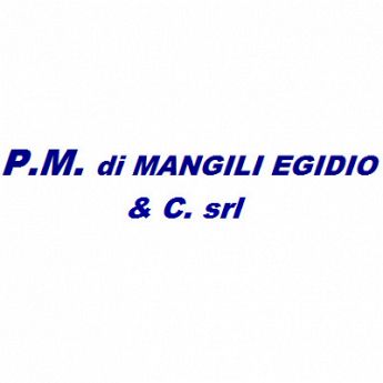 P.M. DI MANGILI EGIDIO & C. S.R.L.