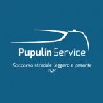 Pupulin Service