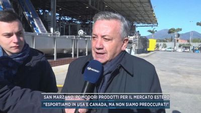 San Marzano, pomodori prodotti per il mercato estero