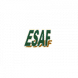 Esaf - Resistenze Elettriche logo