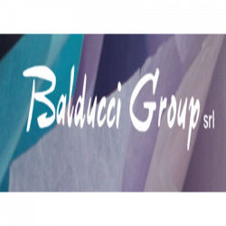 Balducci Group logo