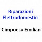 Riparazioni Elettrodomestici Cimpoesu Emilian
