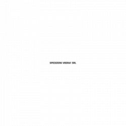 Autotrasporti Visona' logo