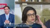 Lupi in Salento, la testimonianza di Nina: "I nostri cani sbranati dai lupi"