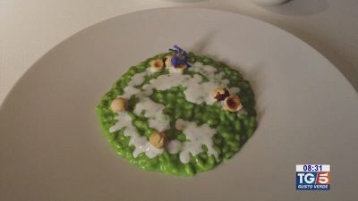 Gusto Verde: risotto alle erbette di campo e ricotta
