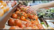 Agroalimentare, fattori Esg sempre più elemento di competitività