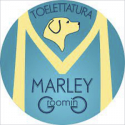 Toelettatura Marley logo