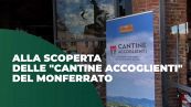 Alla scoperta delle "cantine accoglienti" del Monferrato